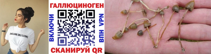 Псилоцибиновые грибы ЛСД  что такое наркотик  Чекалин 